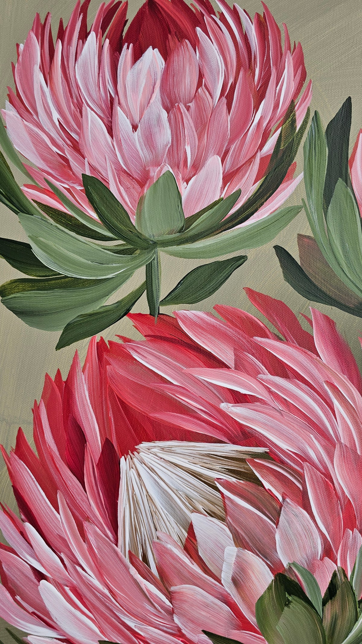 "Radiant" #6  Protea Flower Painting by Zoe White _ Acrylic on canvas