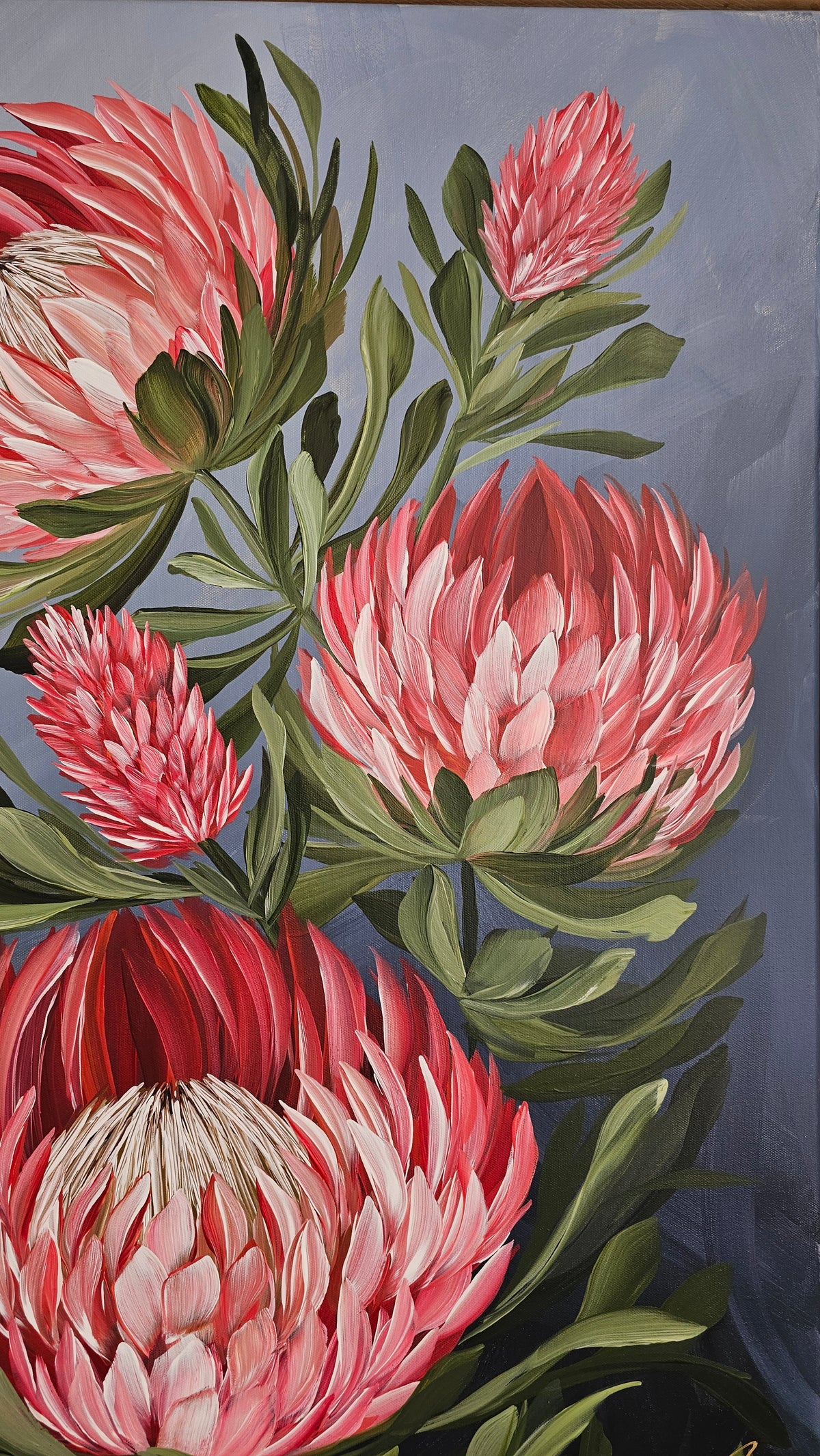 "Radiant" #8_ Protea Flower Painting by Zoe White _ Acrylic on canvas